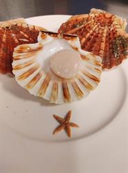 Le fin fumet restaurant Bastogne, openingstijden