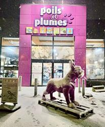Poils et plumes Florennes, openingstijden