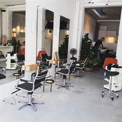 Hår, Antwerpen openingstijden