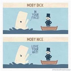 Moby Dick, Antwerpen openingstijden