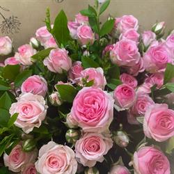 Anthea Bloemen / Bloemenautomaat, Asse openingstijden