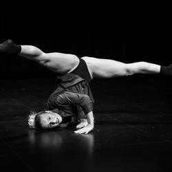 Studio Minne, Ronse openingstijden
