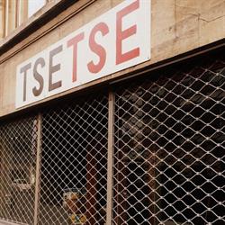 TseTse - strips en prentenboeken, Antwerpen openingstijden