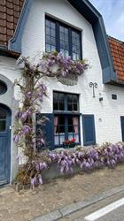 Al'Baraque, Saint-Servais openingstijden