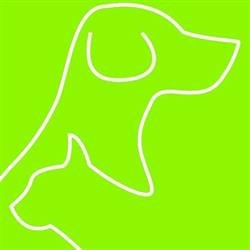 Dierenarts Katrijn De Groote, Lokeren openingstijden