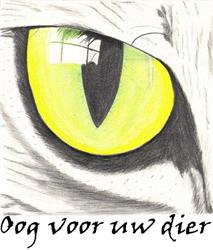 Dierenartsenpraktijk Anemoon, Nieuwerkerken openingstijden