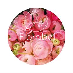Florabel, Erondegem openingstijden