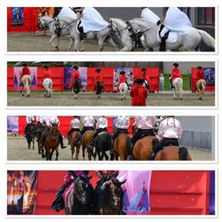 Manege Hof Van Mulders, Nederhasselt openingstijden