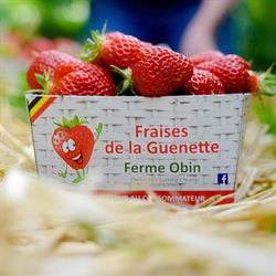Fraises de la Guenette, Nijvel openingstijden