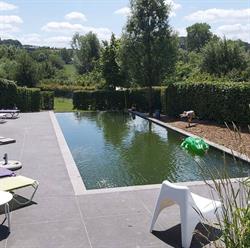 Ecochique, Westouter openingstijden