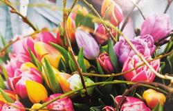 Bloemenwinkel Borze, Mechelen openingstijden
