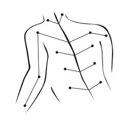 Osteopaat Ronse/Renaix - Osteopathie Julien Vandendooren, openingstijden