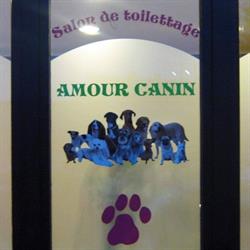 Salon de toilettage Amour canin, Courcelles openingstijden
