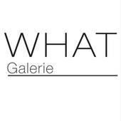 What Galerie, Waterloo openingstijden