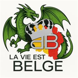 La vie est Belge, Bergen openingstijden