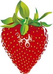 Aardbeien Verstraete, Nazareth openingstijden