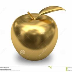 Pomme d'Or Mons, openingstijden
