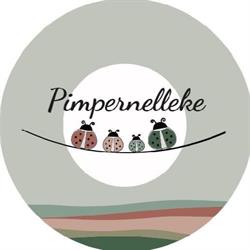 Kinderdagverblijf Pimpernelleke Niel, openingstijden