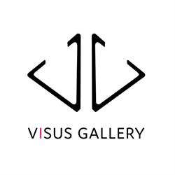VISUS GALLERY, Lasne openingstijden