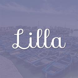 Lilla Hasselt, openingstijden