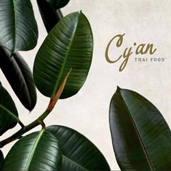 Cy'an, Hasselt openingstijden