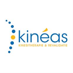 Kinéas, Zottegem openingstijden