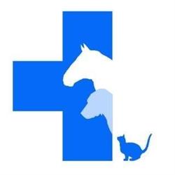 Dierenartsenpraktijk Katona, Wechelderzande openingstijden