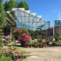 Pépinières St Jean, Wanze openingstijden