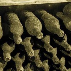 Pikowines, Oudergem openingstijden