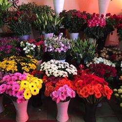 L'Hortensia Laken Brussel - openingstijden