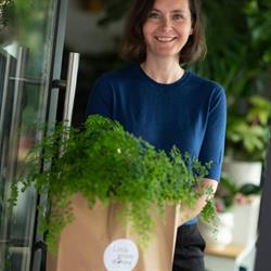 Little green stories, Gent openingstijden