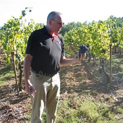 Winefield, Bornem openingstijden
