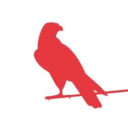 Early Birds Art Gallery, Knokke-Heist openingstijden