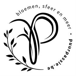Puur Passie "bloemen, sfeer en meer", Tollembeek openingstijden
