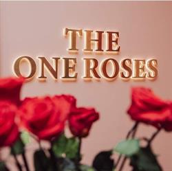 The One Roses, Antwerpen openingstijden