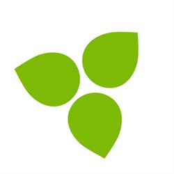 Kudzu eco webshop, Brugge openingstijden