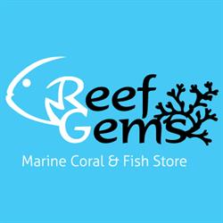 Reef Gems, Bekkevoort openingstijden