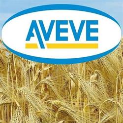 Agro Wauters, Veulen openingstijden