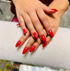 Azari Nails, Zottegem openingstijden