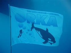 Clublokaal duikclub Orka, Lokeren openingstijden