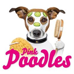 Pink Poodles, Gentbrugge openingstijden