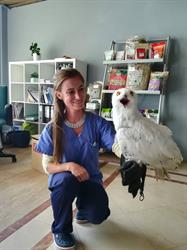 Exotic Vet Care, Charleroi openingstijden