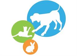 Dierenartsenpraktijk AnimOH, Oud-Heverlee openingstijden