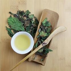 thewayoftea, Antwerpen openingstijden