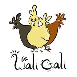 WaliGali, Ambresin openingstijden