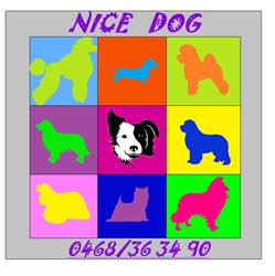 Nice Dog, Seraing openingstijden