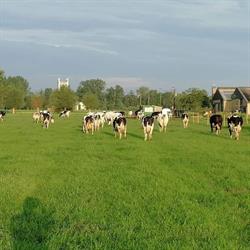 Steenberghoeve, Grimbergen openingstijden