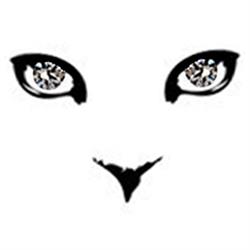 MEOWdeluxe, Lokeren openingstijden