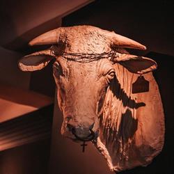 Restaurant Os, Sint-Truiden openingstijden
