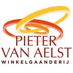 Pieter van Aelst, Aalst openingstijden